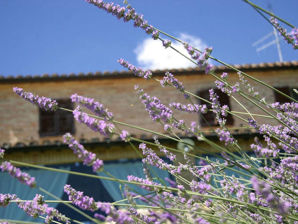 Villarondanella Fermo Dış mekan fotoğraf